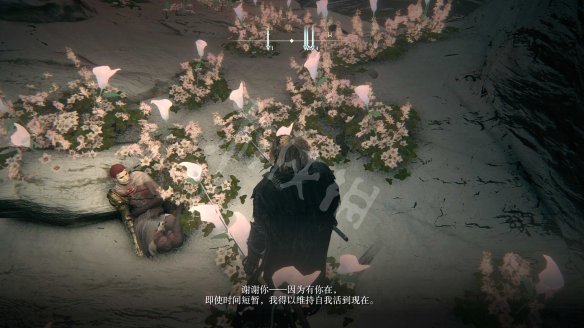 6FE10D94.jpg
