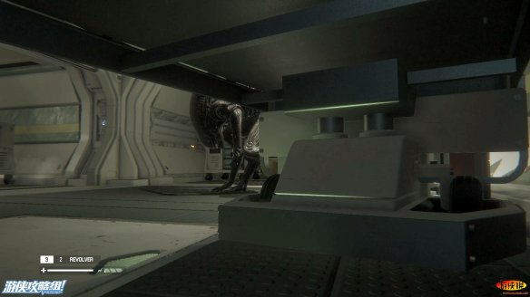 D27F9356.jpg