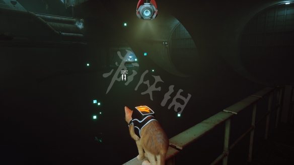 584_2022072212455253.jpg