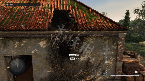 B1E5BAD9.jpg