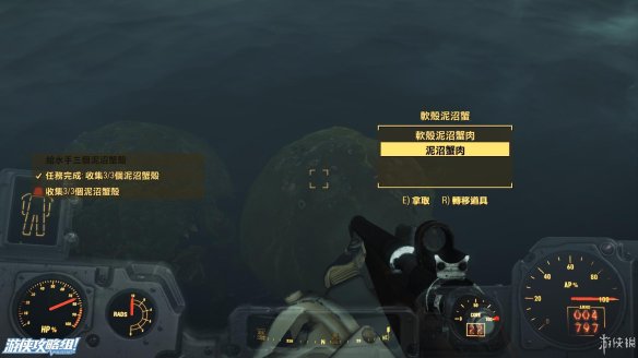 55977931.jpg