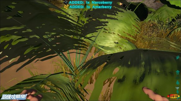 D3A28FCF.jpg