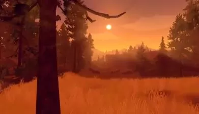 switch《看火人(Firewatch)》[NSZ]美版中文-2.jpg