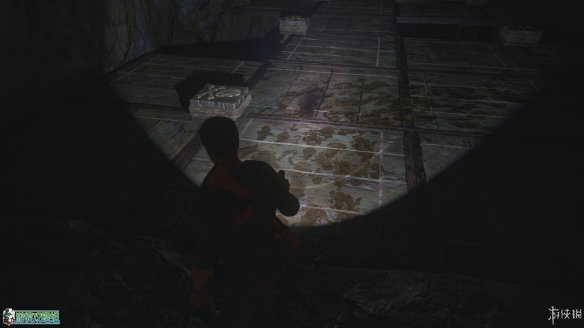 69204245.jpg