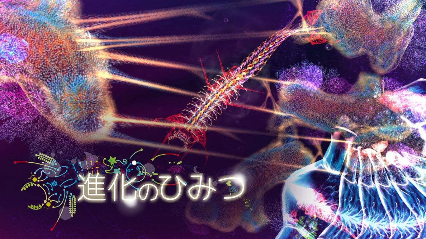 [NSP] [自购]进化的秘密 三部曲 日版