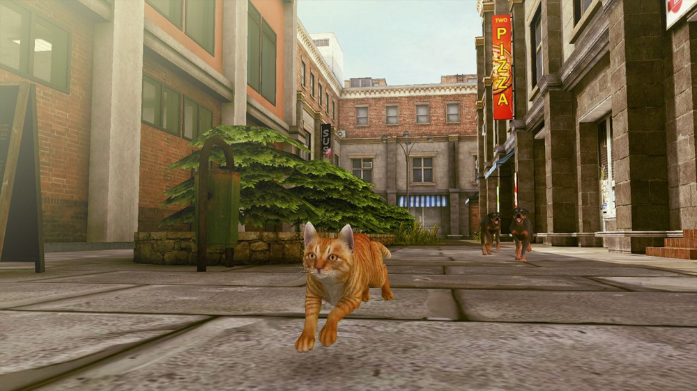 [XCI] 【三网盘】小猫大营救2 Little Strays 2 官方中文v1.3.0+1DLC